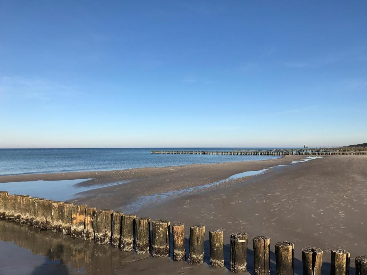 Traumhaus Unter Reet Appartement Zingst Buitenkant foto