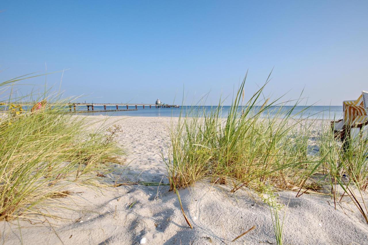 Traumhaus Unter Reet Appartement Zingst Buitenkant foto